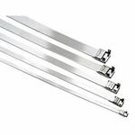 Band-It BAND-FAST L20499 Buckle Locking Free End Hose Clamp With Clip, 0.02 in THK, 201 Stainless Steel, Domestic