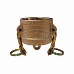 Dixon 100-DC-BR Type DC Cam and Groove Dust Cap, 1 in, Brass, Domestic