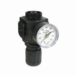 Norgren by Dixon Excelon R73G-3RG 1 Series Relieving Compact Regulator With GC230 Gauge, 3/8 in PTF, 144 scfm Flow Rate, 5 to 150 psi Pressure